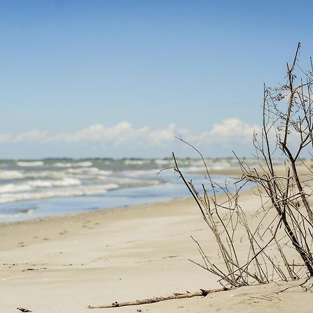 Il Piccolo Albero Διαμέρισμα Scardovari Εξωτερικό φωτογραφία