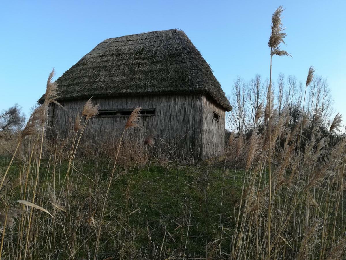 Il Piccolo Albero Διαμέρισμα Scardovari Εξωτερικό φωτογραφία